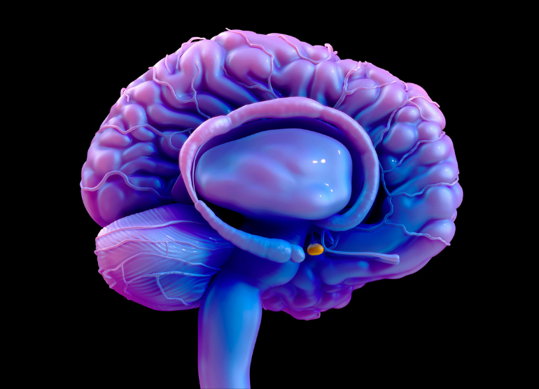 What Is The Best Treatment For Pituitary Tumors 